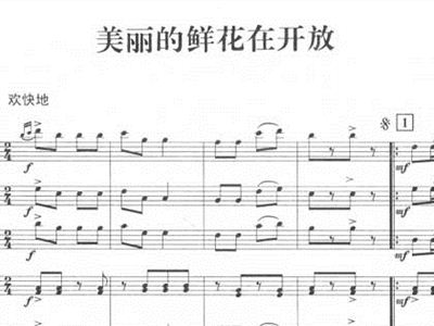 美丽的鲜花在开放